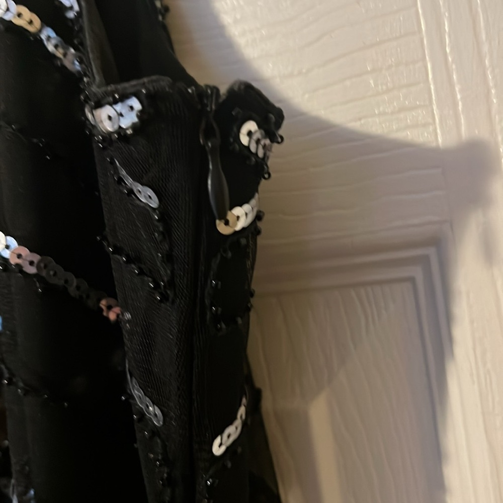 Flapper Dress - Picture 4 of 11